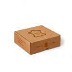 Caja Impresa 21x18x08 cm