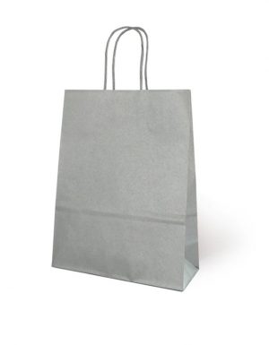 Bolsa de Papel Básica Plata