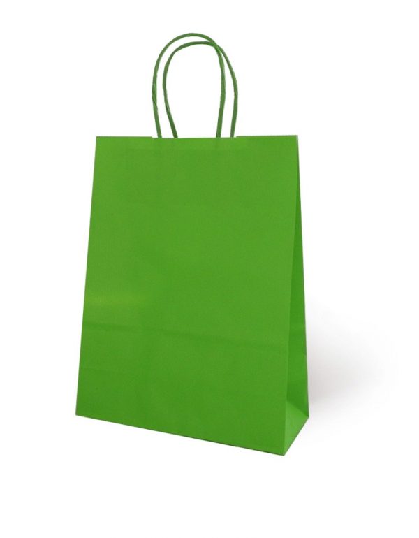 Bolsa de Papel Básica Verde