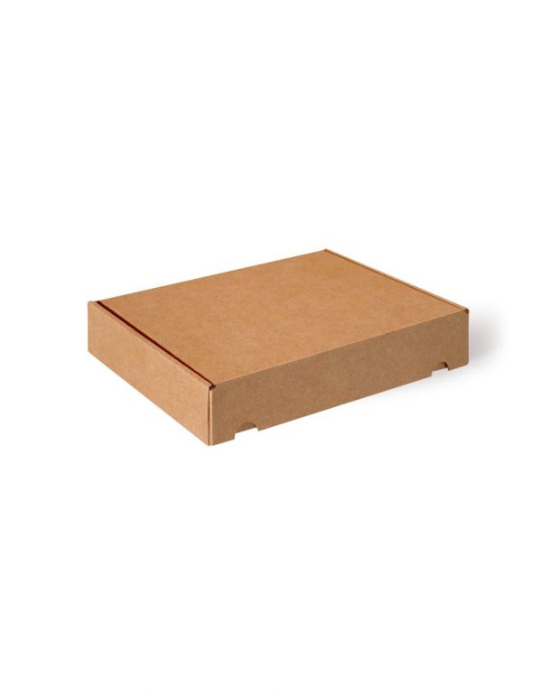 Caja de Cartón 30x17x05 cm
